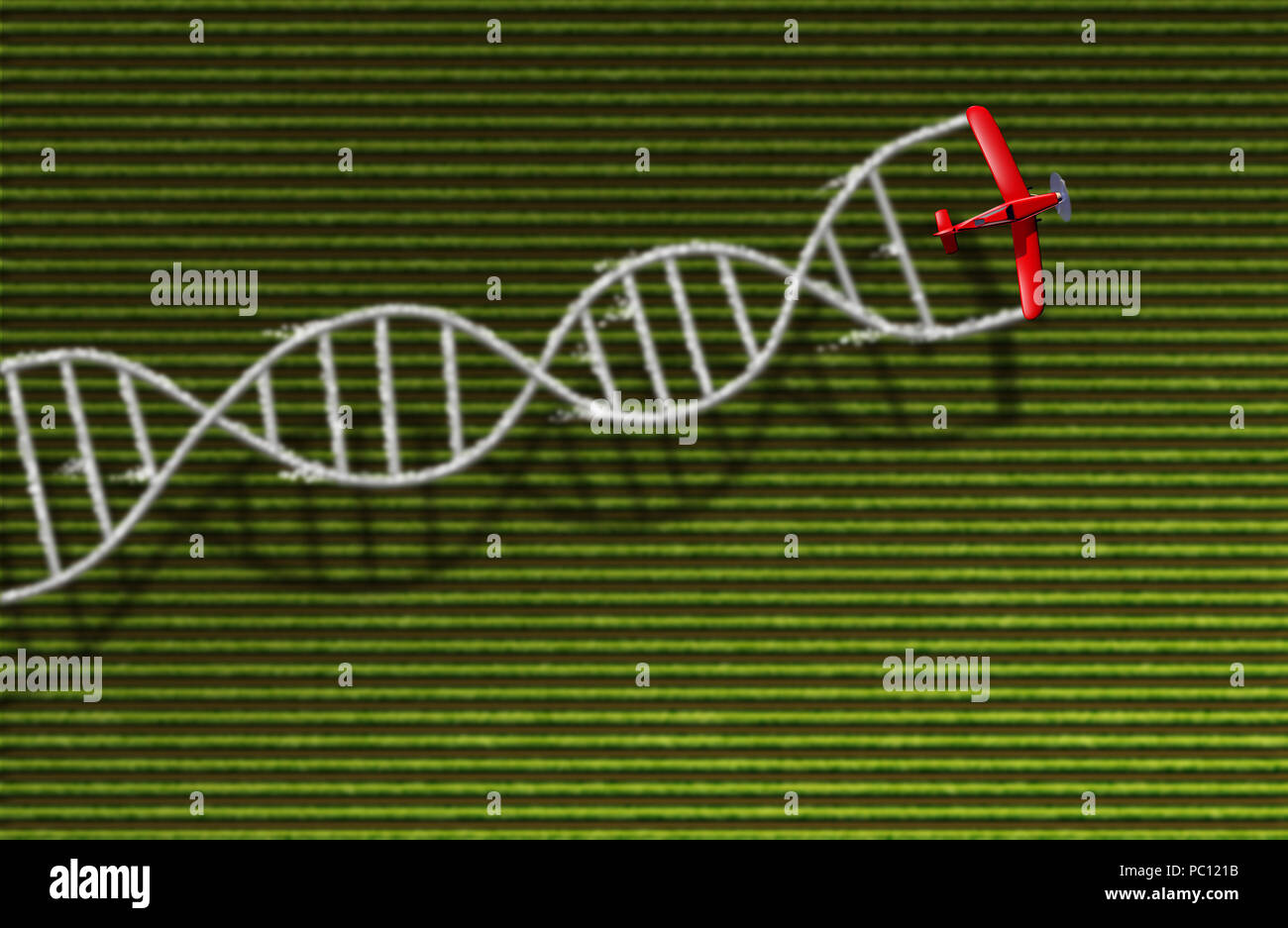 Le colture OGM o organismi geneticamente modificati e di agricoltura biologica alimenti ingegnerizzati concetto di agricoltura con utilizzo di biotecnologie con un filamento di DNA simbolo. Foto Stock