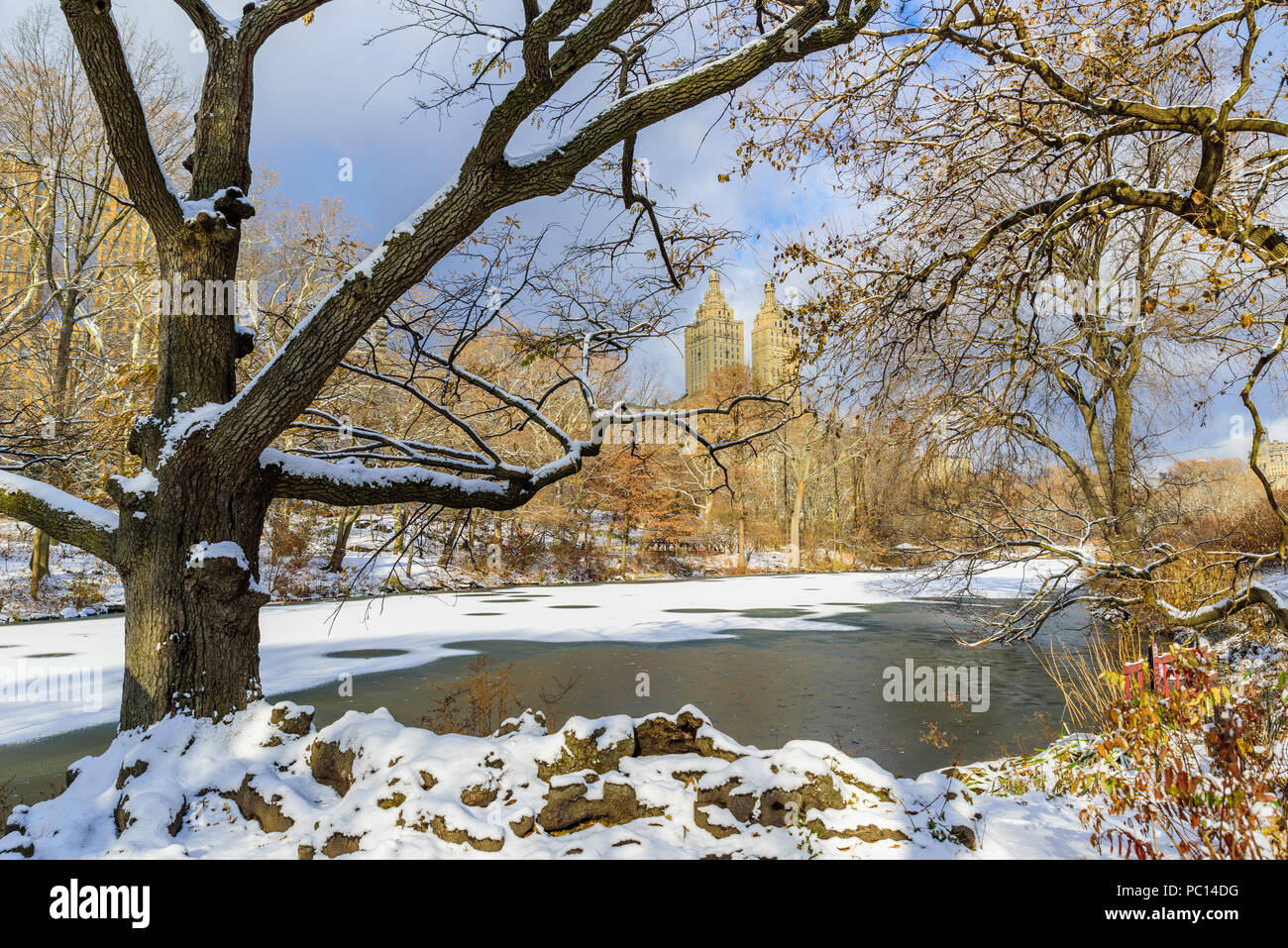 Paesaggio invernale nel Central Park di New York City con ghiaccio e neve, STATI UNITI D'AMERICA Foto Stock