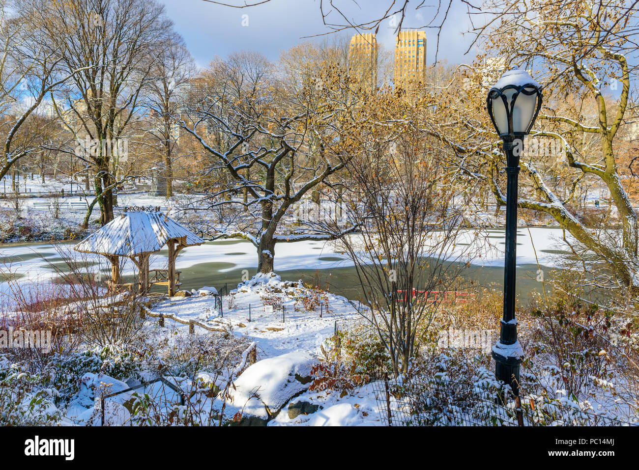 Paesaggio invernale nel Central Park di New York City con ghiaccio e neve, STATI UNITI D'AMERICA Foto Stock