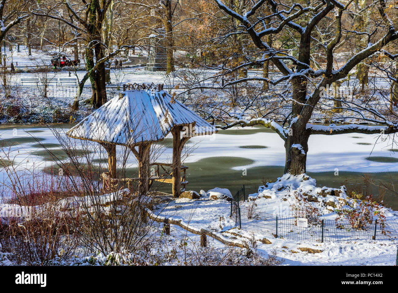 Paesaggio invernale nel Central Park di New York City con ghiaccio e neve, STATI UNITI D'AMERICA Foto Stock