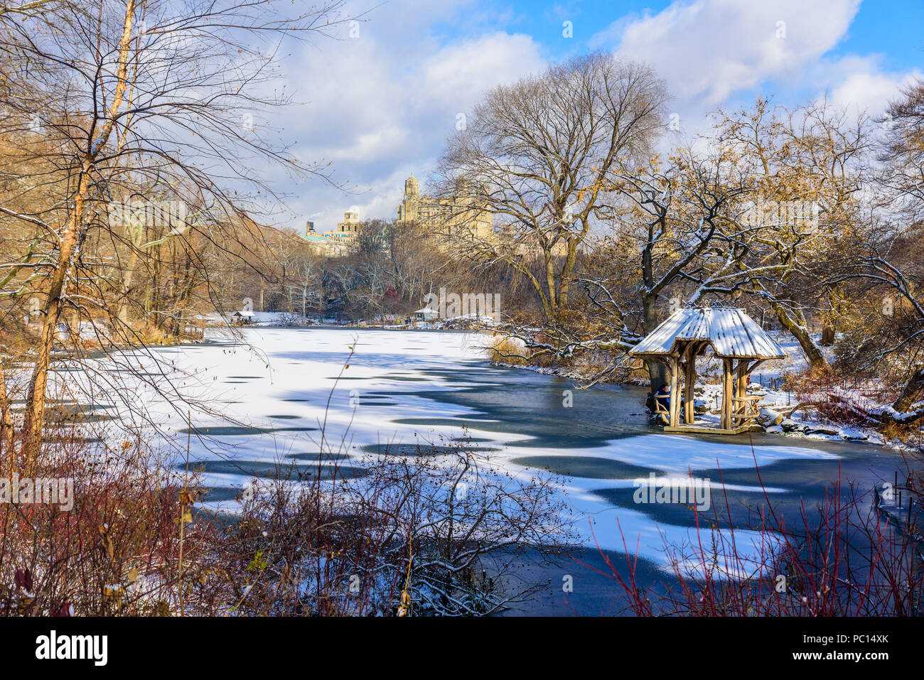 Paesaggio invernale nel Central Park di New York City con ghiaccio e neve, STATI UNITI D'AMERICA Foto Stock
