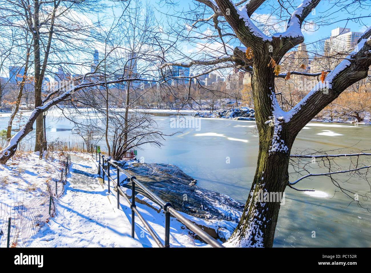 Lago del Central Park di New York City nel paesaggio invernale, STATI UNITI D'AMERICA Foto Stock