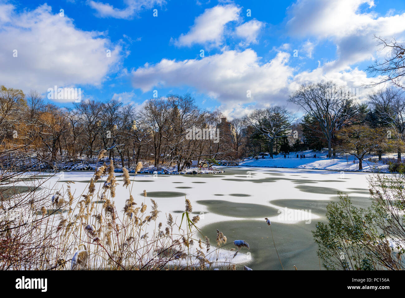 Lago del Central Park di New York City nel paesaggio invernale, STATI UNITI D'AMERICA Foto Stock