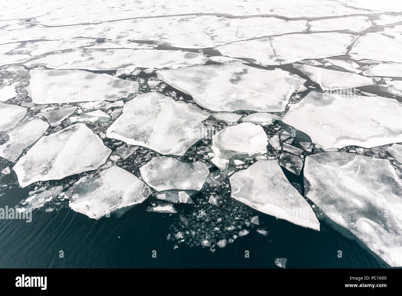 Rotto il ghiaccio del mare vicino alle Isole Svalbard, Norvegia. Foto Stock