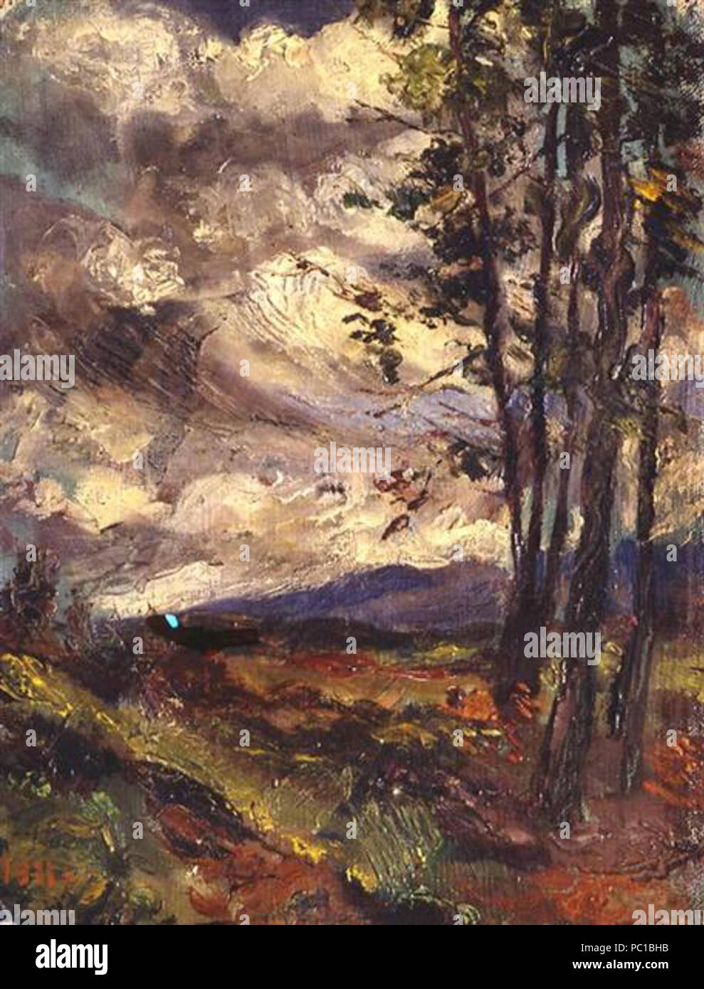 131 Cielo NUBOSO Foto Stock