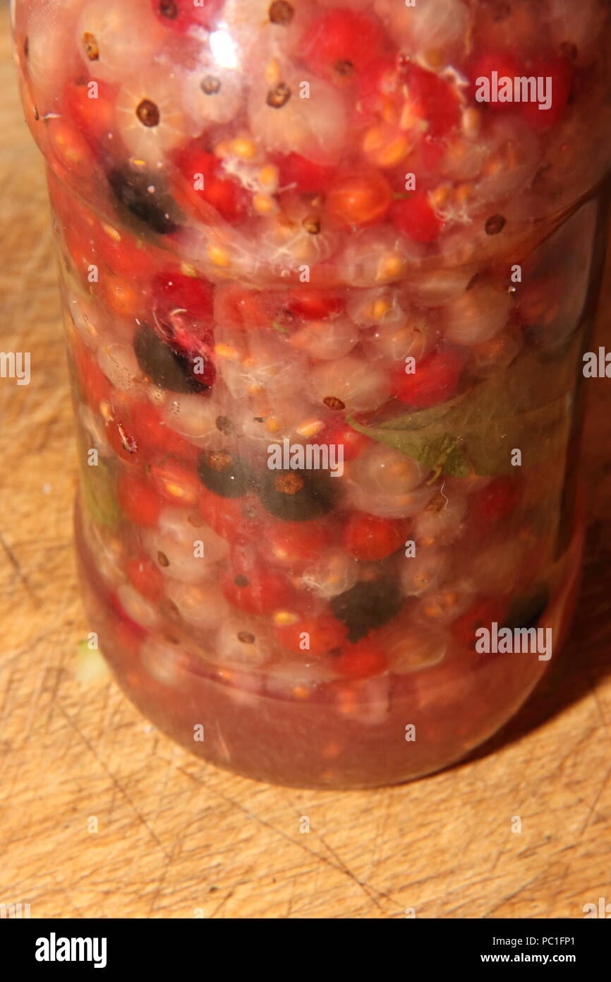 Bianco e rosso Ribes e verbena del limone macerare in un vaso di acqua per essere trasformato in un arbusto Ribes rubrum / nigrum Aloysia citrodora Foto Stock