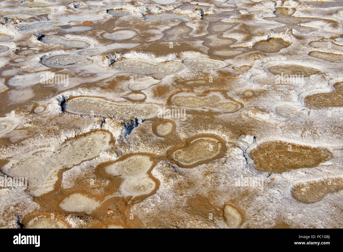 Formazioni di sale in un umido penetra al sale pianure, Parco Nazionale Wood Buffalo , Northwest Territories, Canada Foto Stock