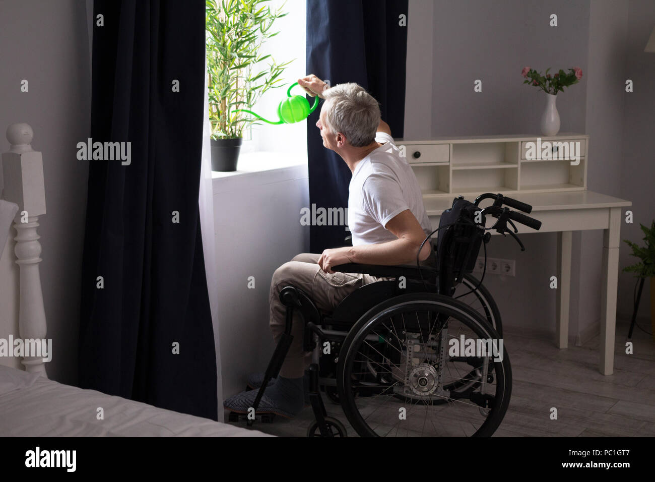 Disabili irrigazione uomo pianta di casa. Foto Stock