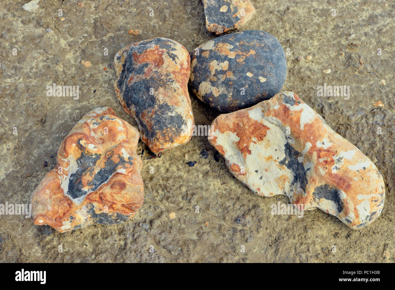 Rocce e fango in sale pianure, Parco Nazionale Wood Buffalo , Northwest Territories, Canada Foto Stock