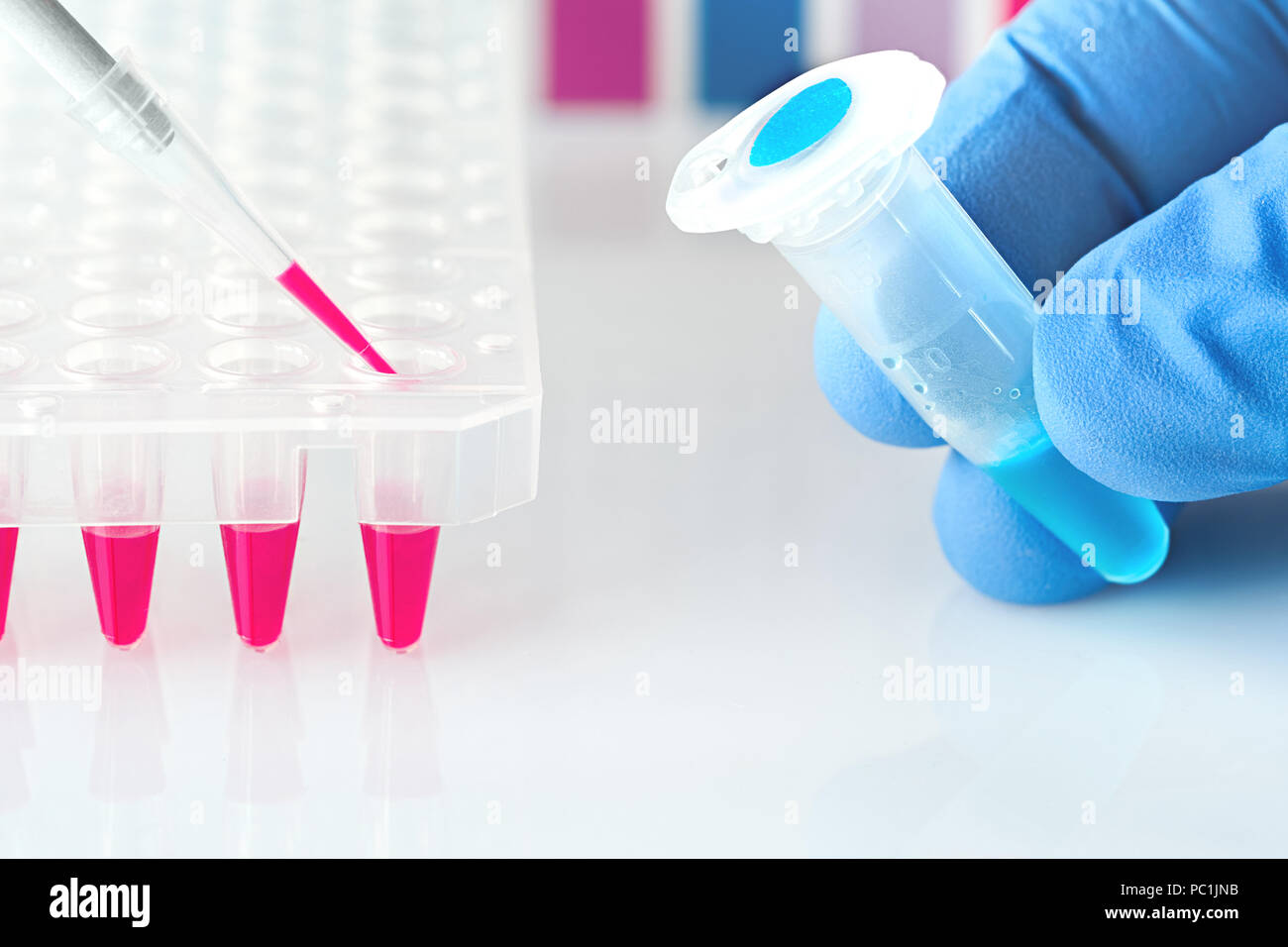 La scienza e la biologia molecolare di sfondo con lo spazio di testo. Dita che tiene il tubo blu con campione di DNA, piastra in plastica con con viola la reazione PCR mixtu Foto Stock