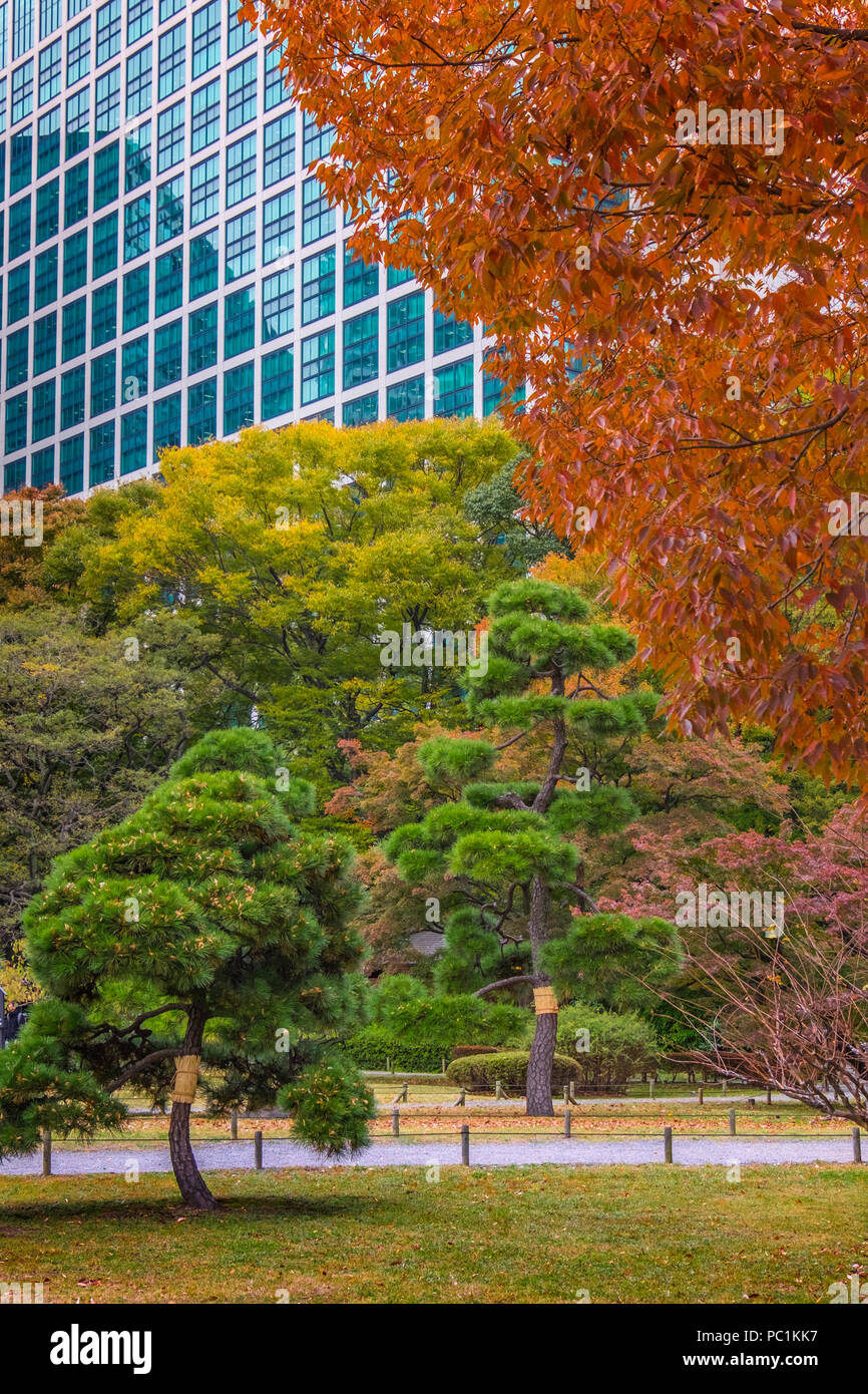 Hamarikyu (anche Hama Rikyu) più antico giardino giapponesi e i moderni grattacieli della zona di Shiodome, Chuo Ward, Tokyo, Regione di Kanto, isola di Honshu, Giappone Foto Stock