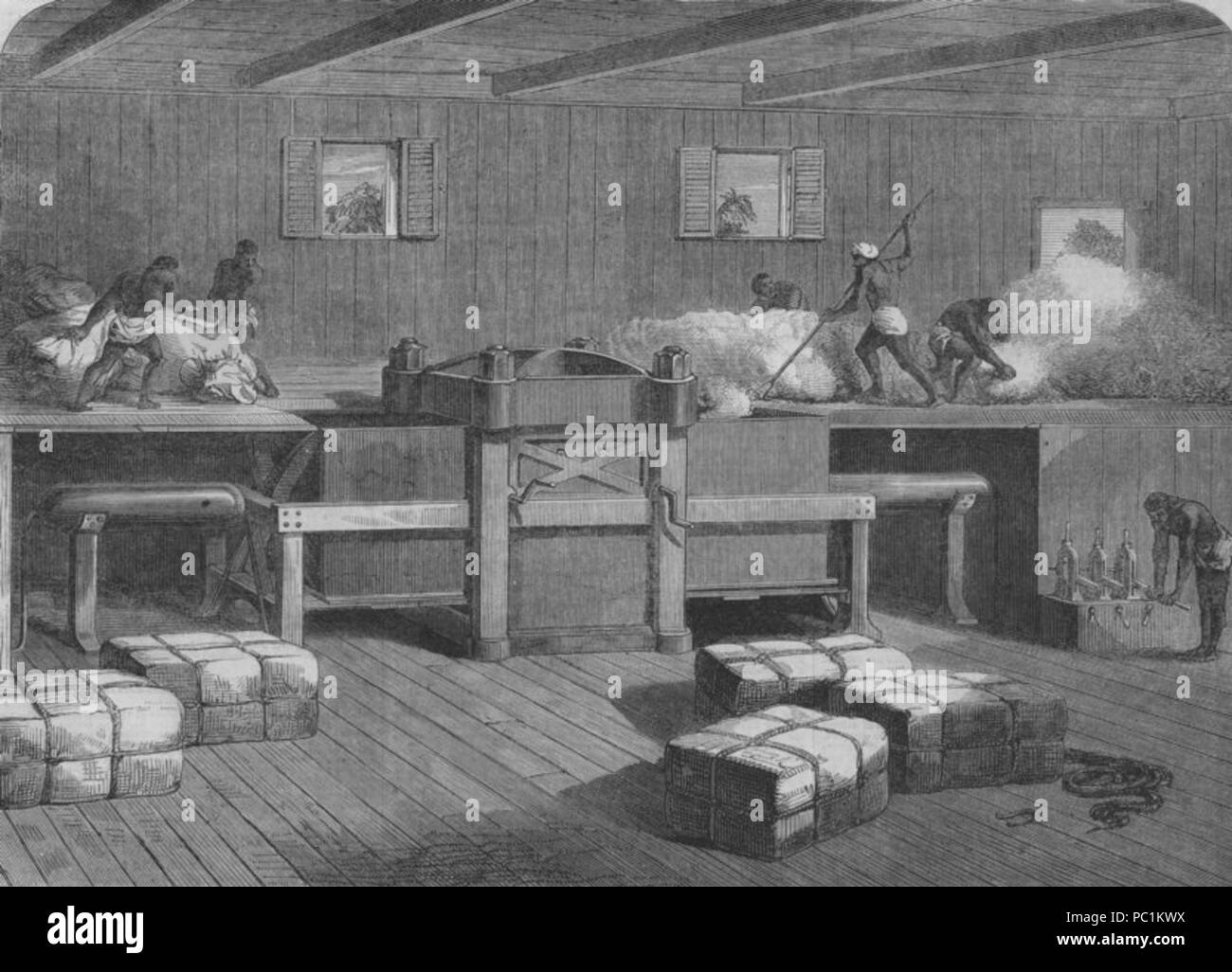 501 premere per imballaggio cotone indiano Foto Stock