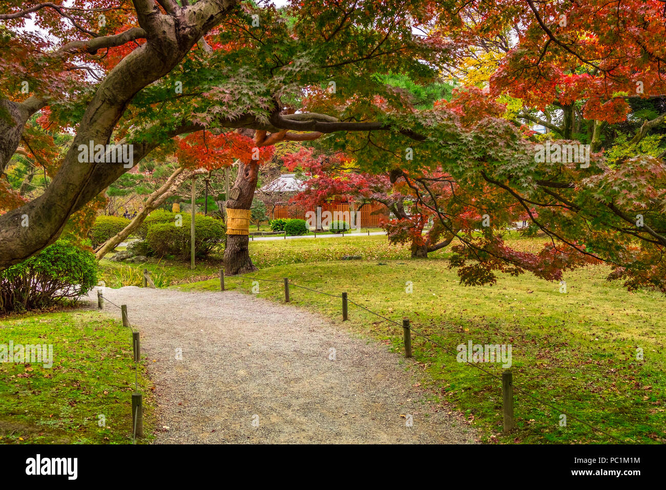 Hamarikyu (anche Hama Rikyu) più antico giardino giapponesi e i moderni grattacieli della zona di Shiodome, Chuo Ward, Tokyo, Regione di Kanto, isola di Honshu, Giappone Foto Stock