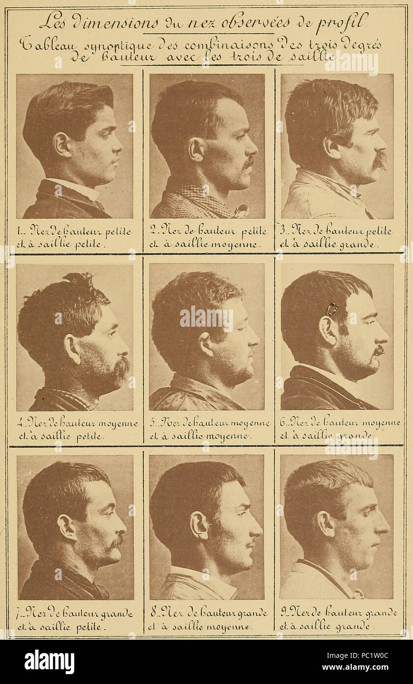 14 Bertillon - Identificazione anthropométrique (1893) 291 Foto Stock