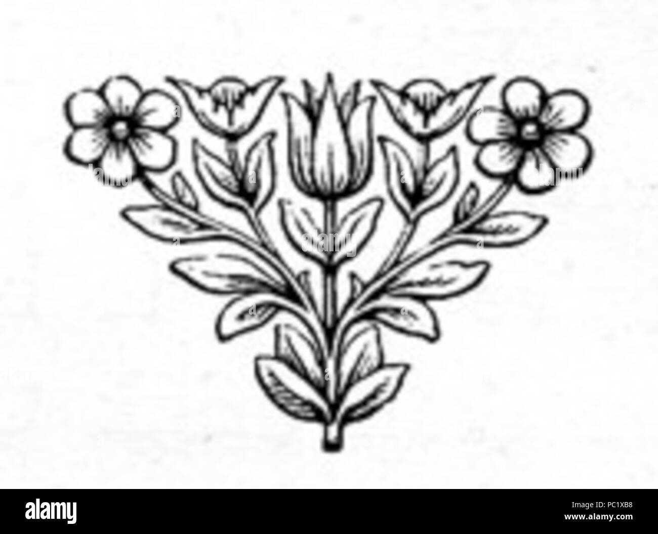 34 fiori in fiore Foto Stock