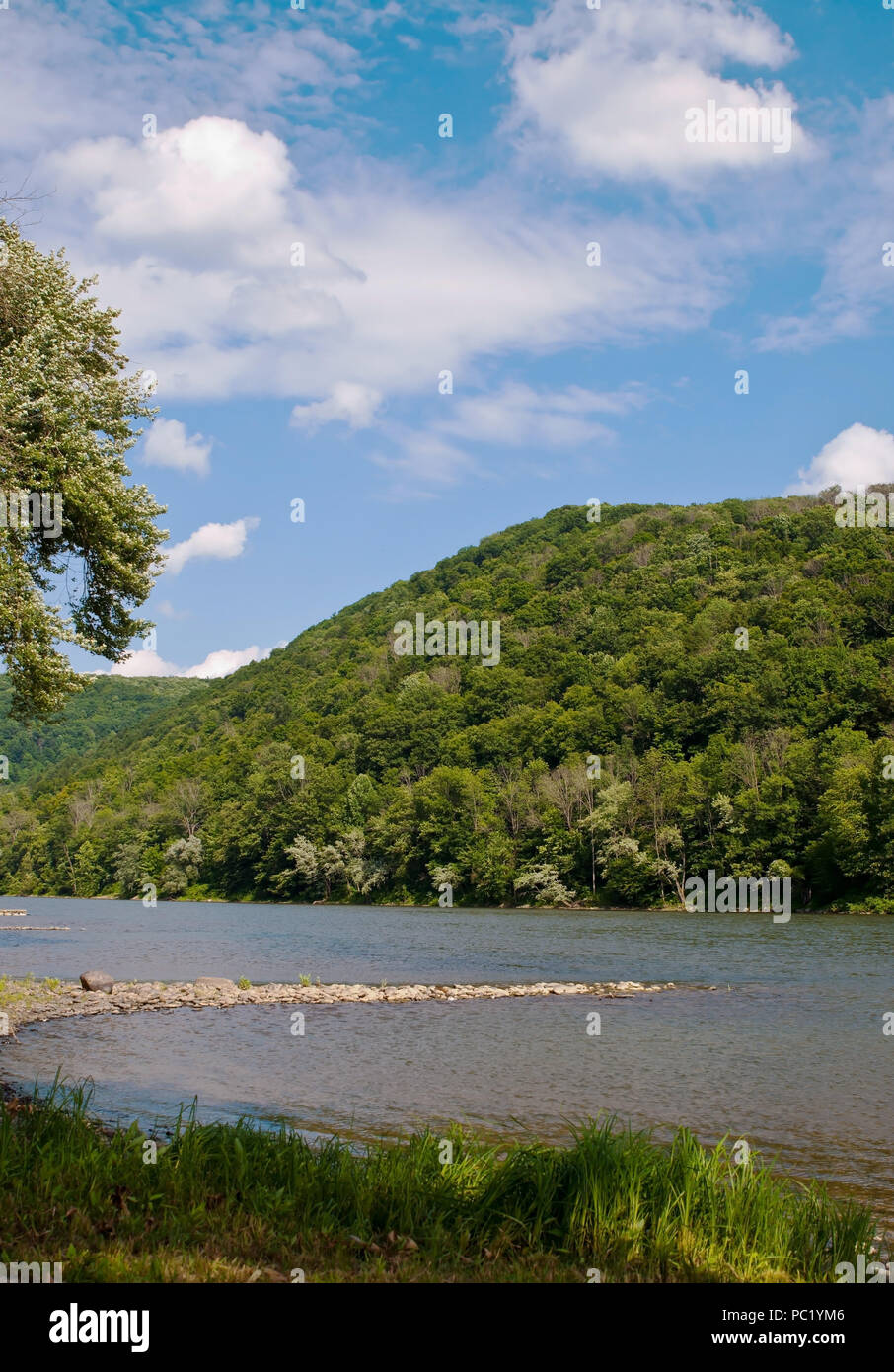 Il fiume Allegheny a Althom, Pennsylvania, USA sotto una nuvola riempì bel cielo azzurro in estate Foto Stock