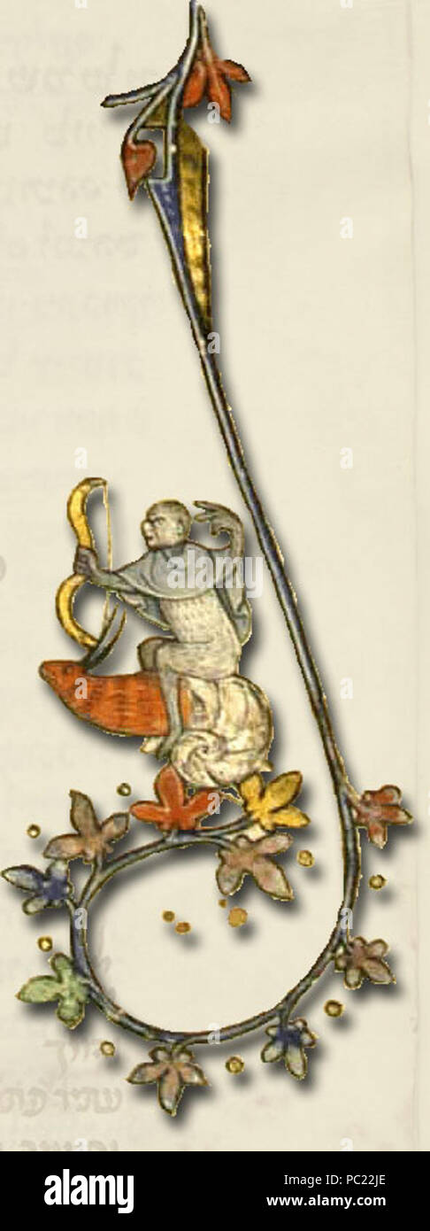 294 Illustrazione-scimmia-su-lumaca-con-bow-e-freccia Foto Stock