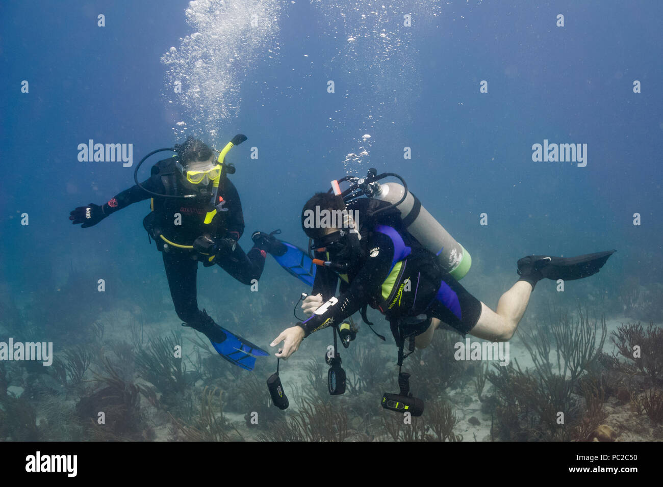 SCUBA diving le barriere coralline e relitti in barca nelle isole Vergini britanniche da affittare barche a vela appena prima dell uragano Irma. Foto Stock