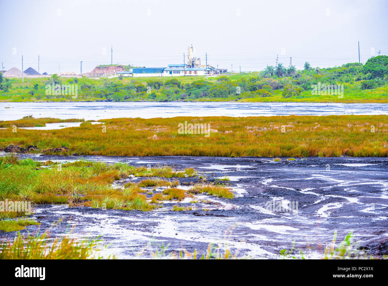 Vista del lago di passo, il più grande deposito naturale di asfalto nel mondo, La Brea, Trinidad e Tobago. È segnalato per essere 75 m di profondità. Foto Stock