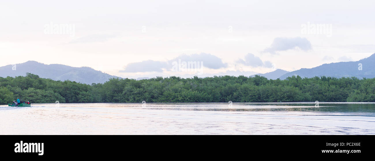 Lago di mangrovie in Trinidad e Tobago, Sud America Foto Stock