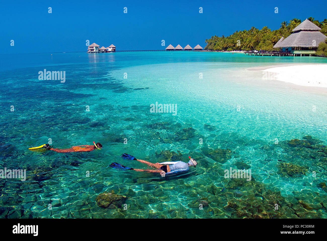 Snorkeller presso la scogliera di corallo di Isola di Rannalhi, Maldive Foto Stock