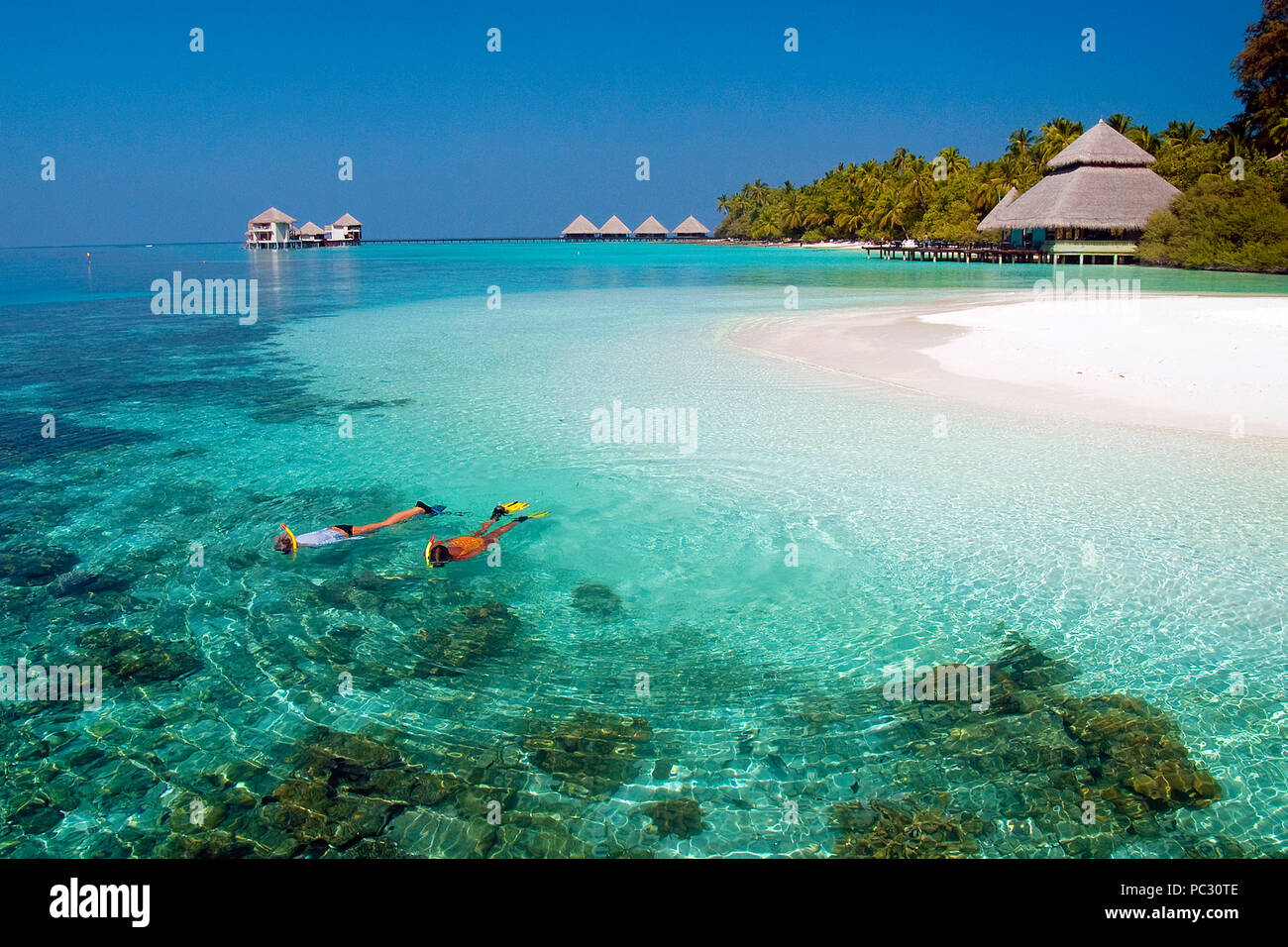 Snorkeller presso la scogliera di corallo di Isola di Rannalhi, Maldive Foto Stock