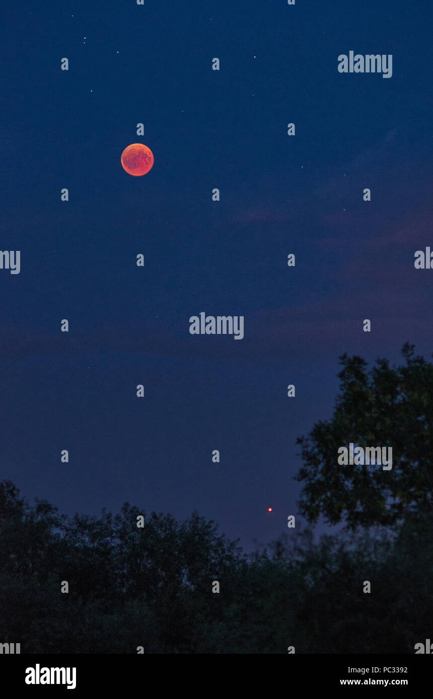 Eclissi lunare totale la sera di luglio, il ventisettesimo 2018 con luna rossa, stelle e pianeta Marte sopra le cime degli alberi Foto Stock