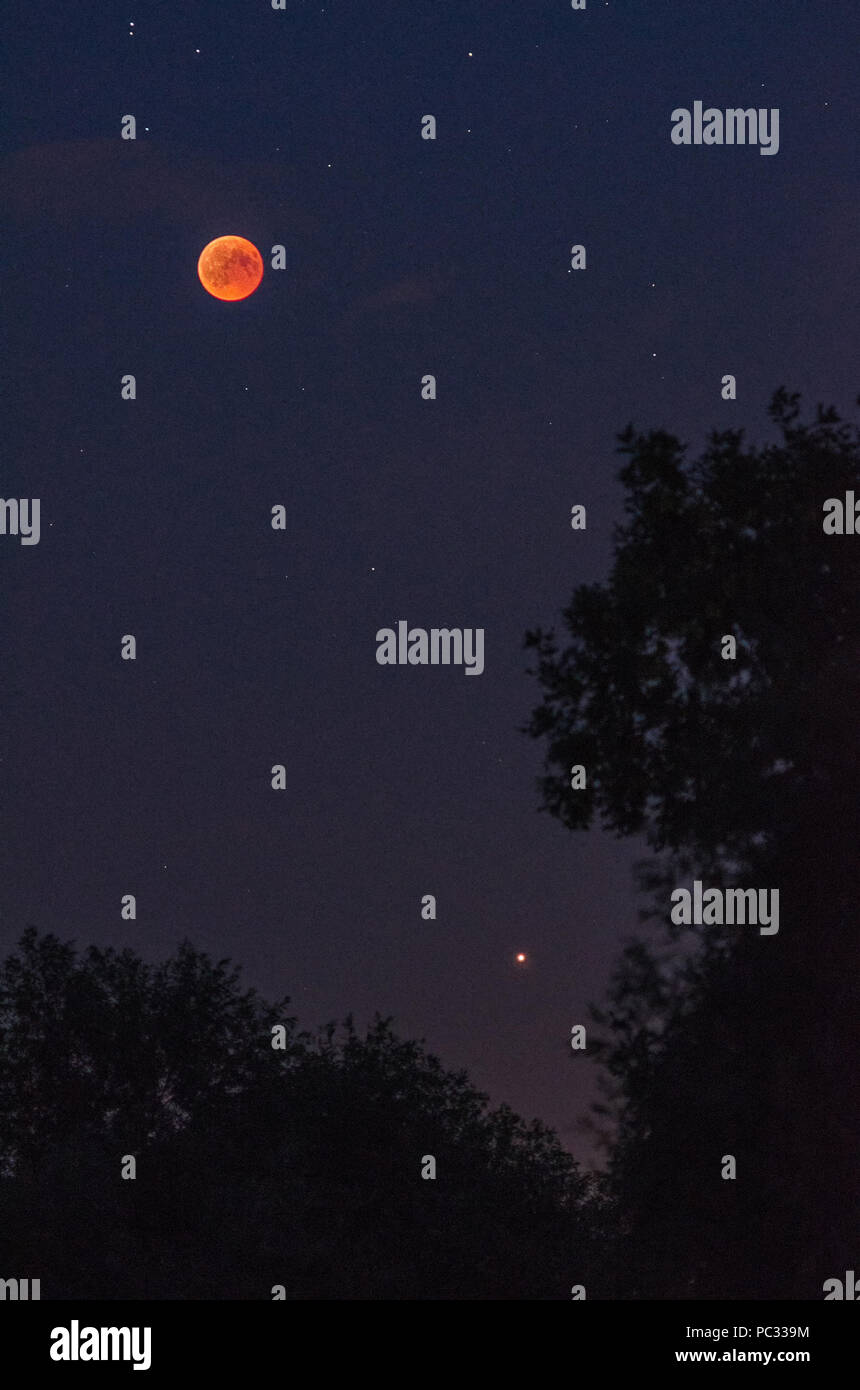 Eclissi lunare totale nella notte di luglio, il ventisettesimo 2018 con luna rossa, stelle e pianeta Marte oltre le sagome degli alberi Foto Stock