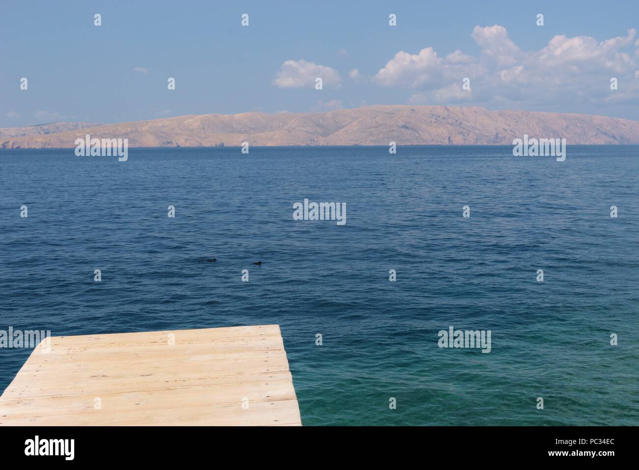Trampolino di lancio nel mare Adriatico. Sulla costa di Senj, Croazia, Europa del sud. Foto Stock