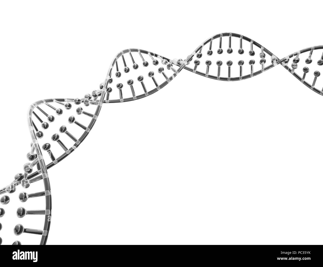 Dna modello di vetro isolato su sfondo bianco Foto Stock