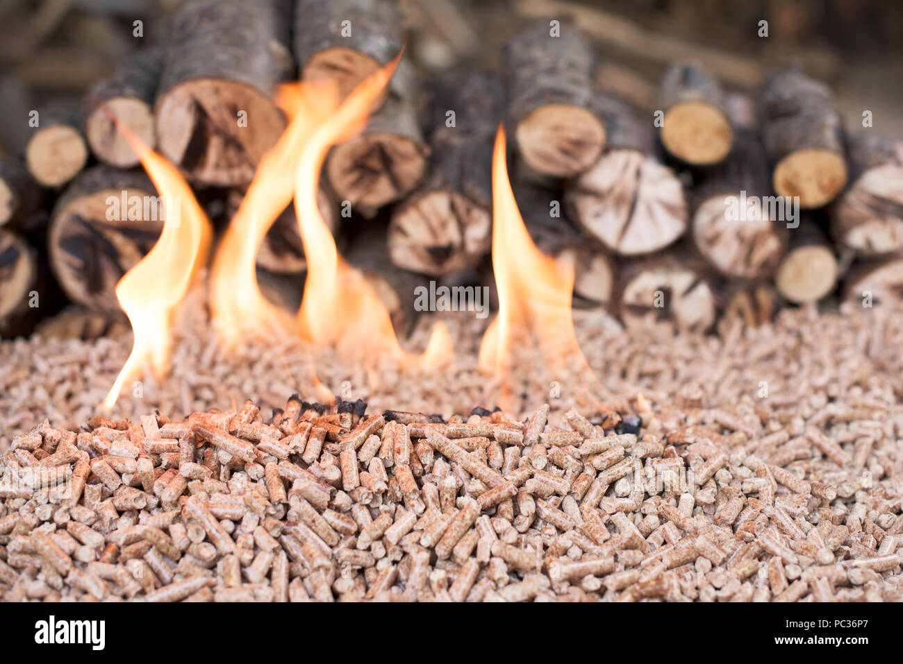 Pila di legno di quercia di pellet in fiamme Foto Stock