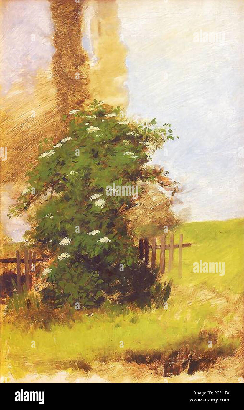 526 Kochanowski romana 123 (38925814781) Foto Stock