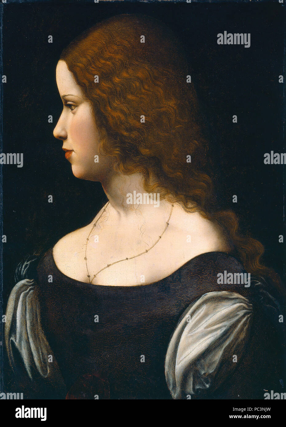 Pittura; olio su pannello trasferiti ai pannelli duri; complessivo: 47,3 x 34,3 cm (18 5/8 x 13 1/2 in.) incorniciato: 67,3 x 53,8 x 7,6 cm (26 1/2 x 21 3/16 x 3 in.); 547 Scuola di Leonardo da Vinci Profilo di donna Foto Stock