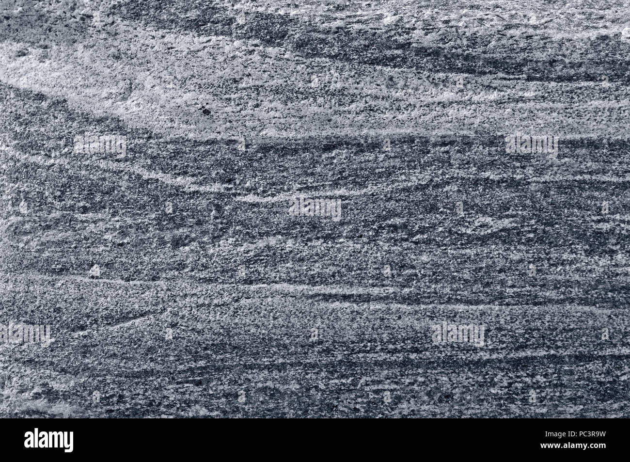 Gneiss Migmatitic migmatite rock band pattern, luce grigia scura di granito nastrati texture macro closeup, grande trama dettagliata grigio argento orizzontale Foto Stock