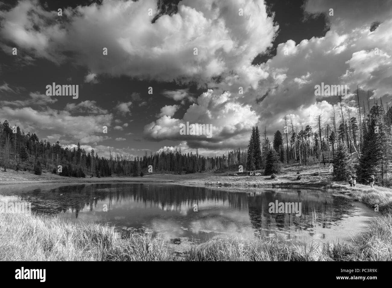 La pesca a 9.000 ft., Aker Lago, Apache-Sitgreaves National Forest, Mogollon Rim, Arizona Foto Stock