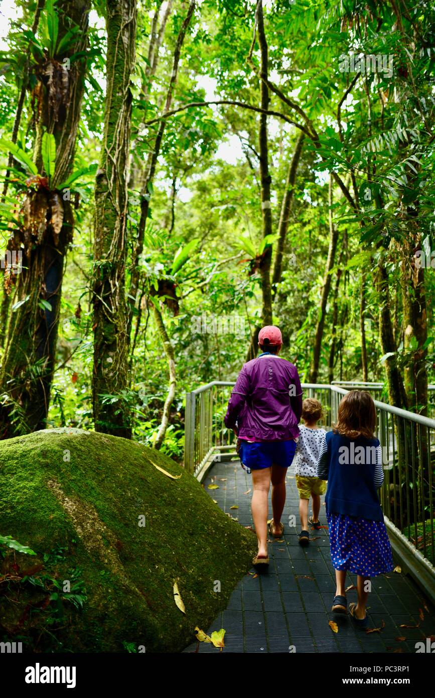 Una madre e figli che camminano insieme attraverso umido della foresta pluviale tropicale sul modo di Josephine Falls, Bartle Frere QLD, Australia Foto Stock