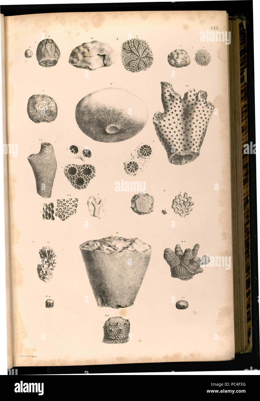 585 Tafel 030 Foto Stock