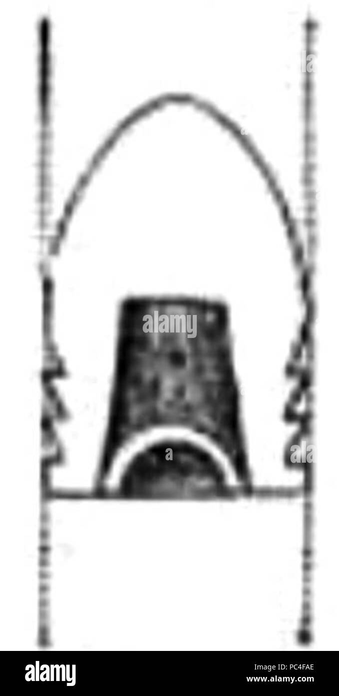 586 Tamisier scanalature Foto Stock