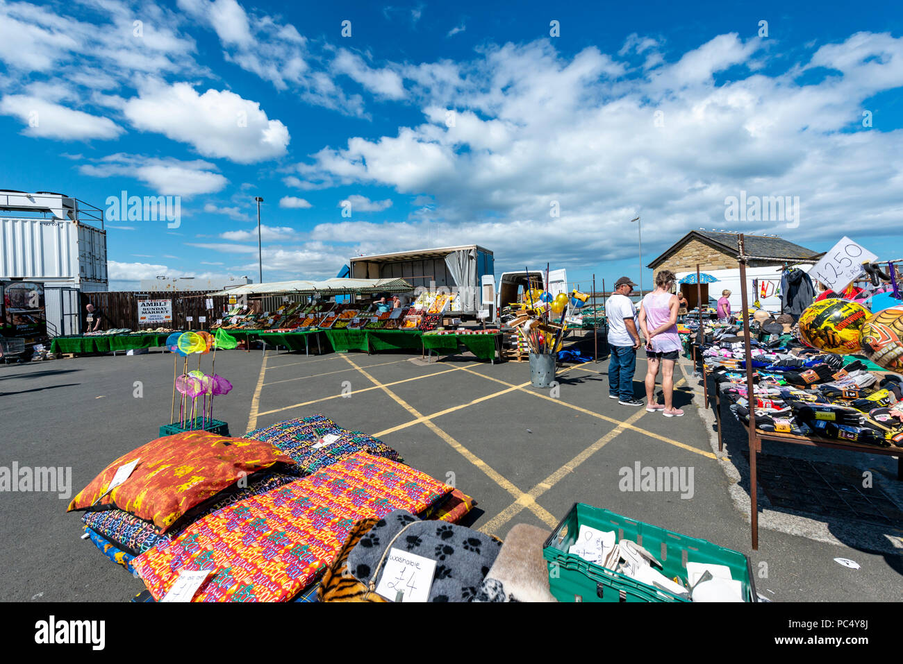 Camminare, Northumberland, Regno Unito Foto Stock