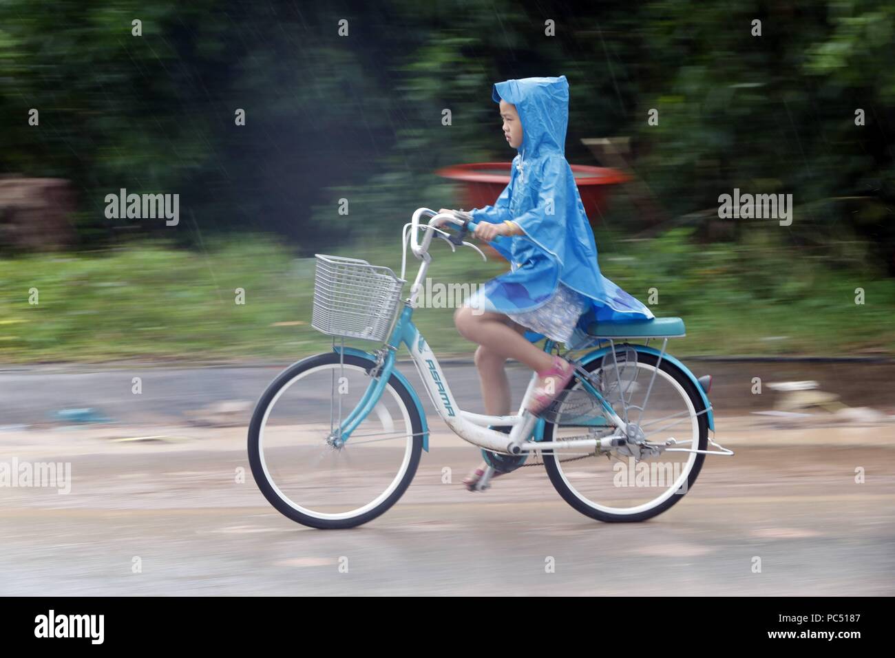 Forti piogge monsoniche. La ragazza alla guida di una bicicletta. Phu Quoc. Il Vietnam. | Utilizzo di tutto il mondo Foto Stock