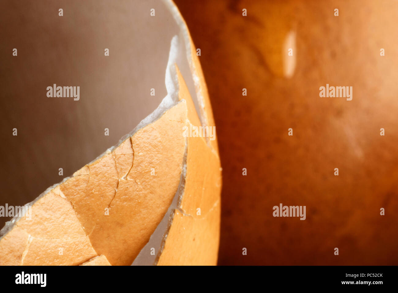 In un primo piano la rottura di una sezione di gusci di uova con un bianco sottile membrana , sullo sfondo di un guscio d'uovo con un piccolo calo di albume ,studio shot ,selet Foto Stock