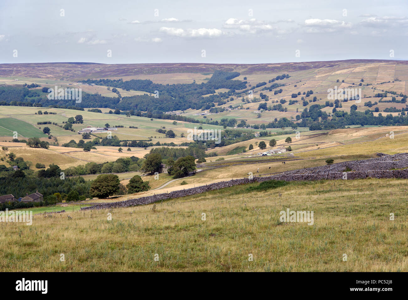 Nidderdale è un grande dale o vallata aperta nel Yorkshire Dales. È in una zona di straordinaria bellezza naturale. Foto Stock