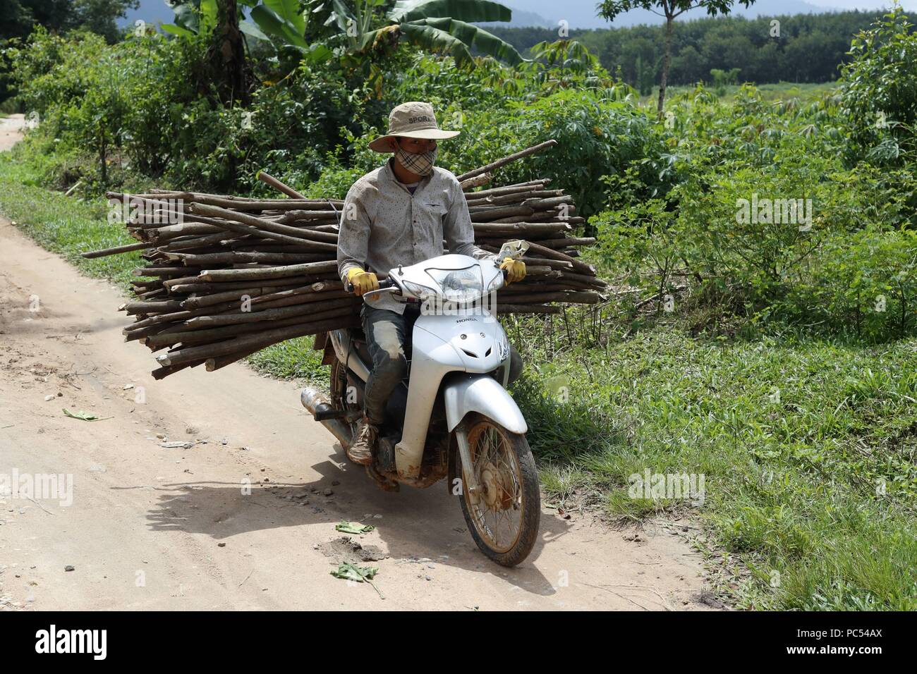 Bahnar (Ba Na) gruppo etnico. Uomo sulla moto che trasportano la legna per il fuoco. Kon Tum. Il Vietnam. | Utilizzo di tutto il mondo Foto Stock