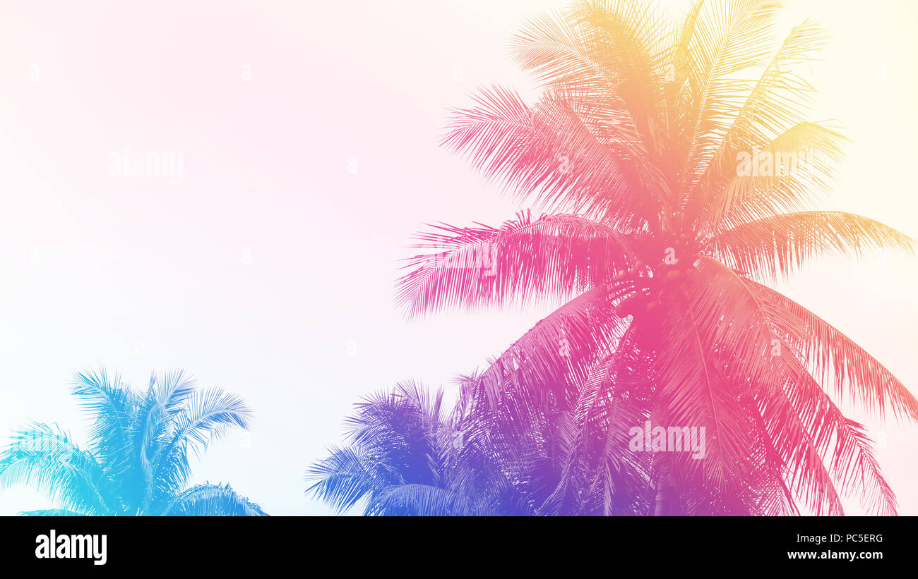 Palm tree o albero di cocco a costa tropicale fatta con toni vintage stile sfondo. Foto Stock