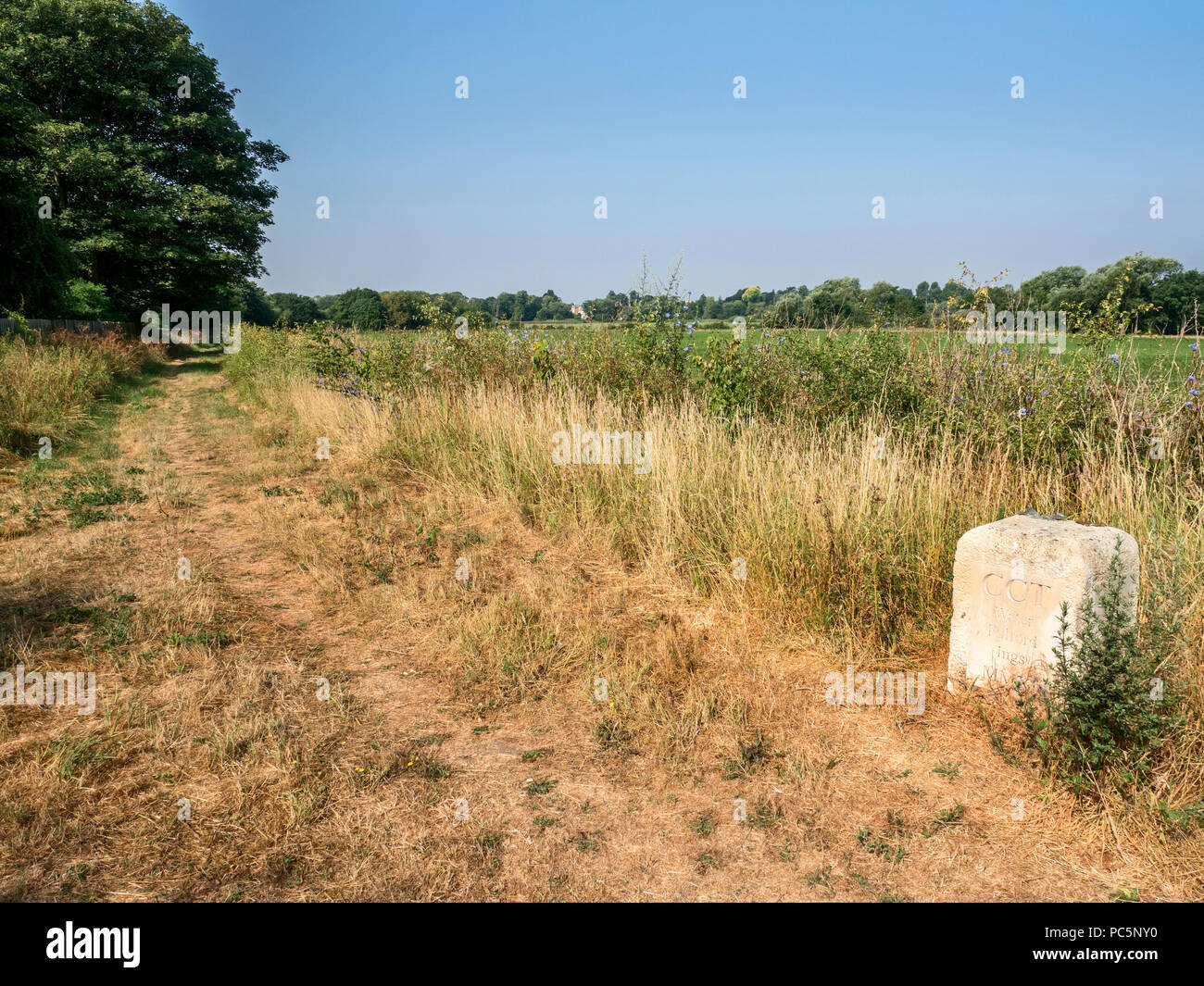 Sentiero pubblico a Fulford Ings vicino a York Yorkshire Inghilterra Foto Stock