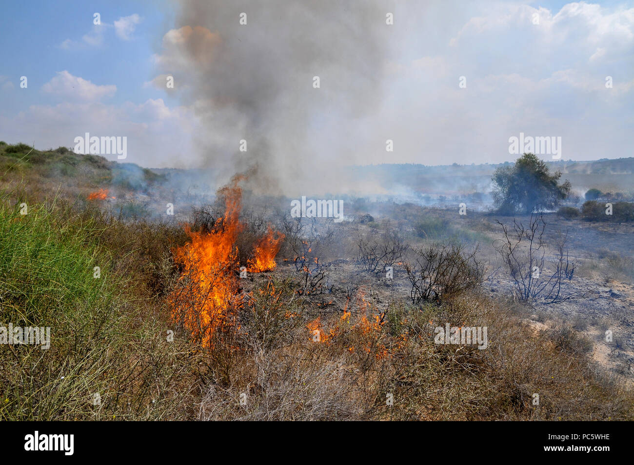 Campo di masterizzazione causato da Kite bombe che sono state percorse da Gaza con un acceso benzina panno imbevuto per impostare gli incendi all'israeliano i campi e le colture. Fotografato su Foto Stock