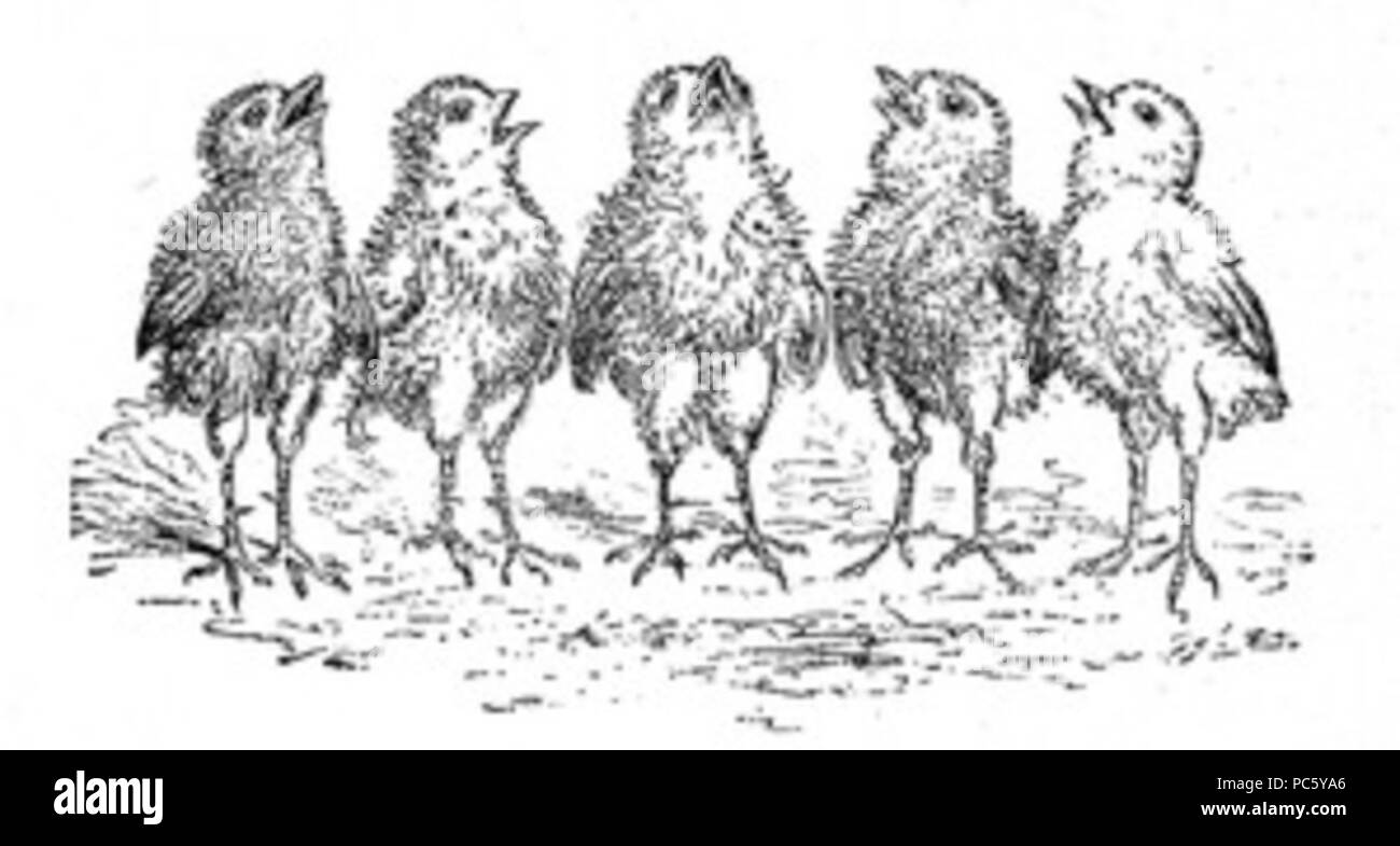 16 possiamo volare ancora Foto Stock