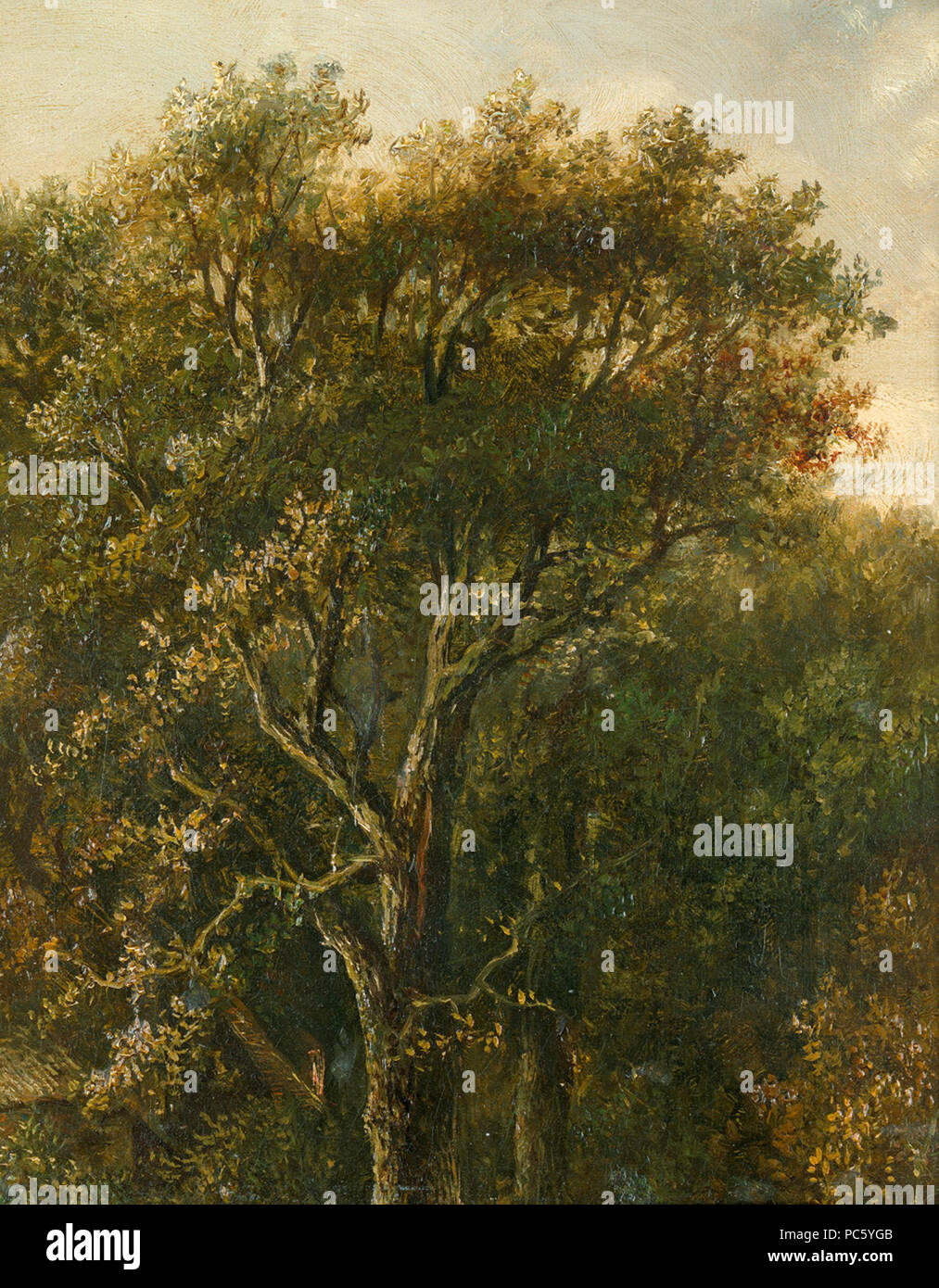 17 Carl Gustav Carus - Waldstück mit Eiche Foto Stock