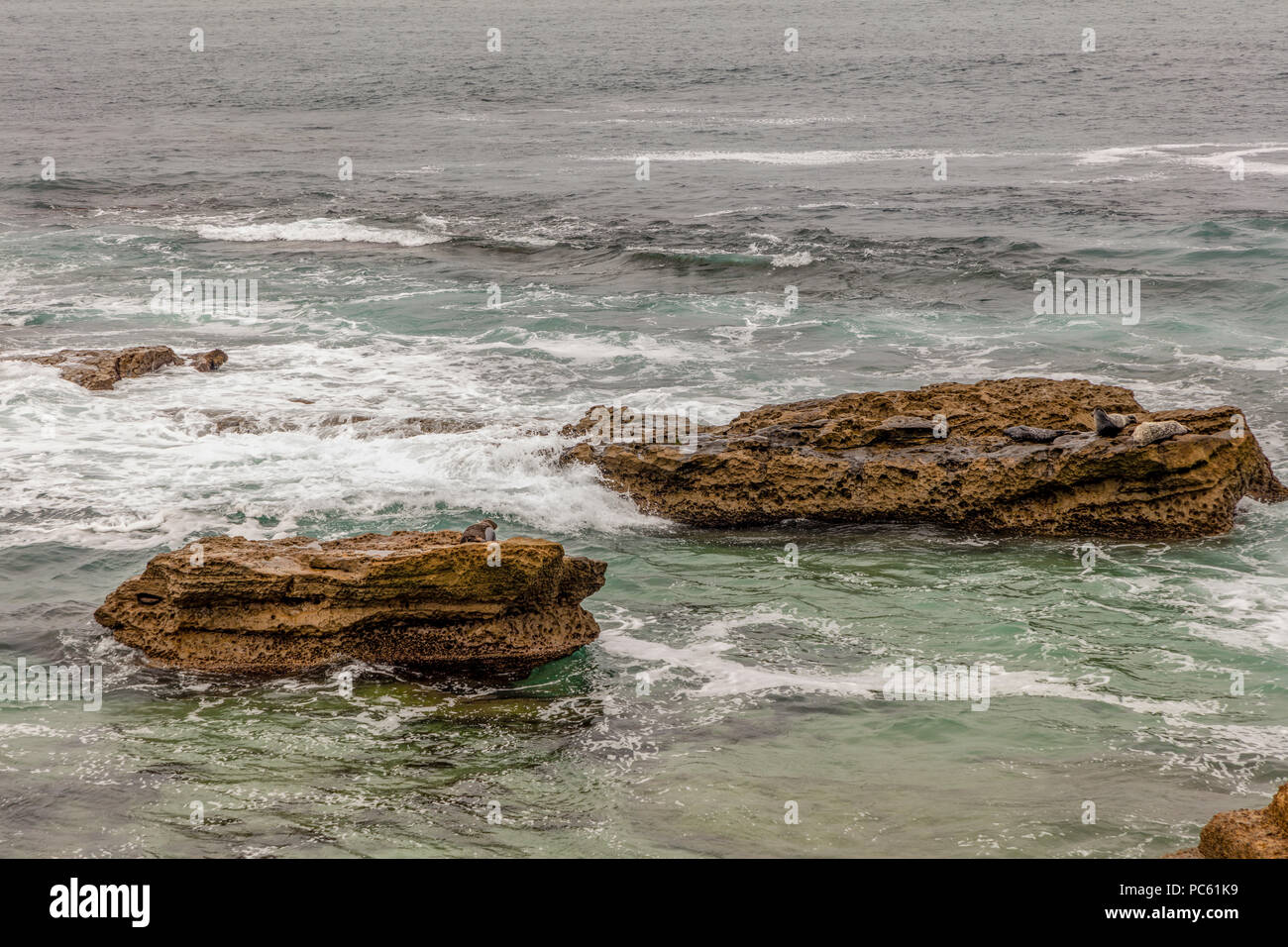La Jolla Cove è Una Piccola E Pittoresca Baia E La Spiaggia