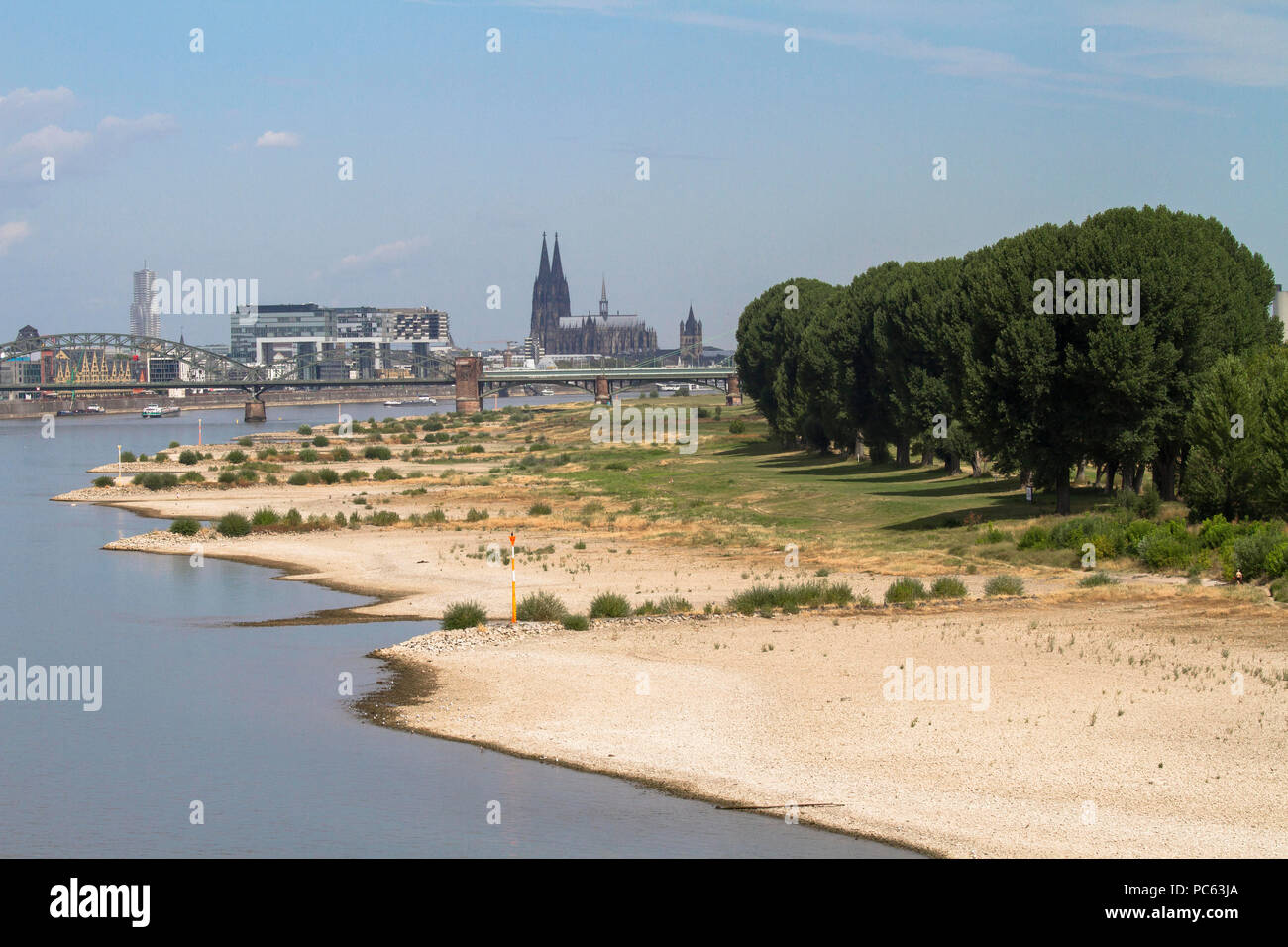 Colonia, Germania, 31 luglio 2018, acqua bassa del fiume Reno, sponde del fiume Reno in Cologne-Poll, vista del porto di Rheinau e la cattedrale. Credito: Joern Sackermann/Alamy Live News Foto Stock